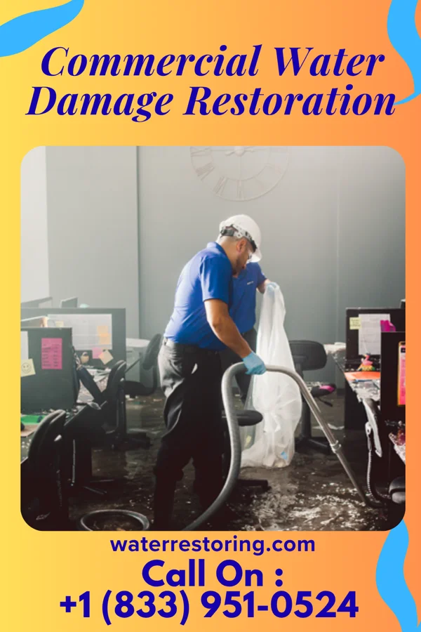 Commercial Water Damage Restoration in Blomkest, MN