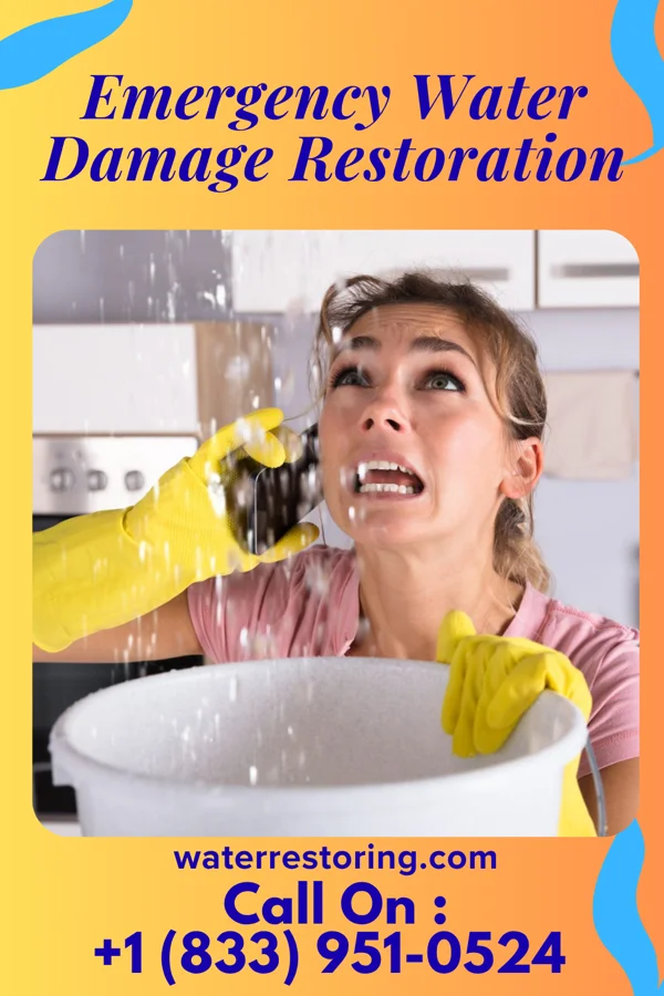 Emergency Water Damage Restoration in Blomkest, MN